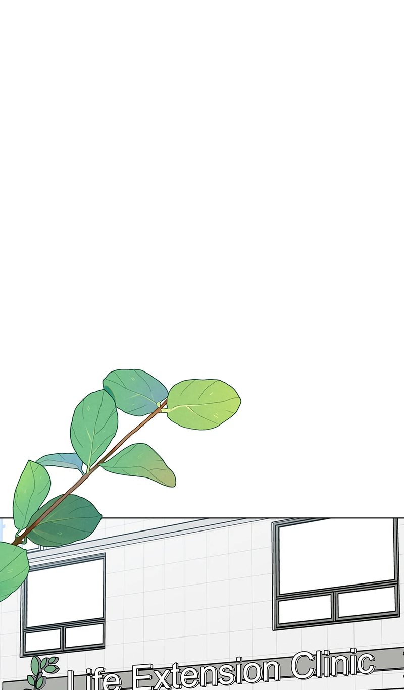 1st year Max Level Manager Chapter 146 - Page 1