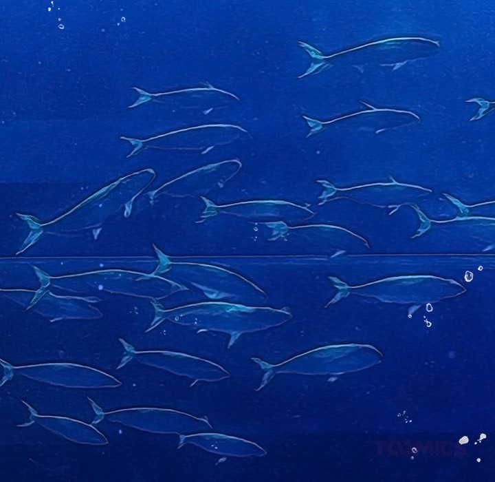 My High School Bully Chapter 271 - Page 140