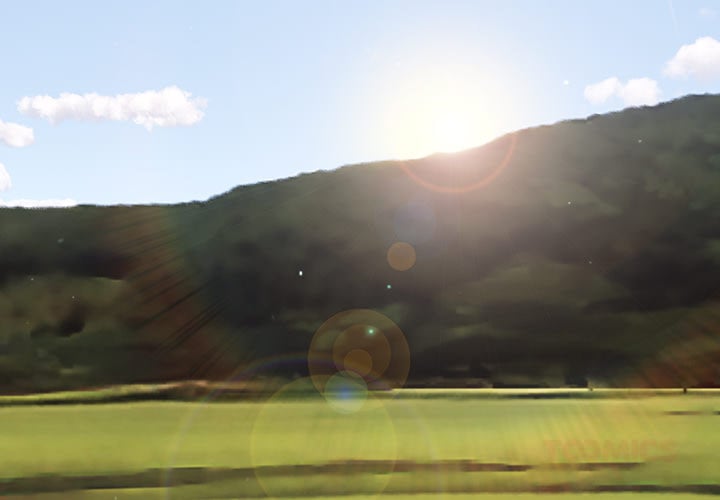 Stupidemic (Uncensored) Chapter 13 - Page 3