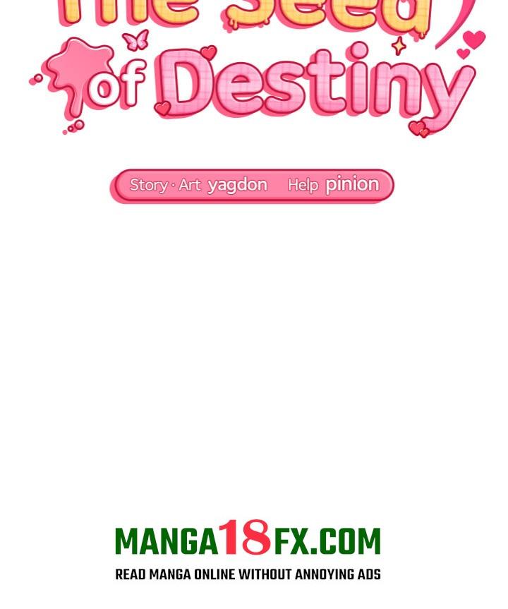 The Seed of Destiny Chapter 4 - Page 15