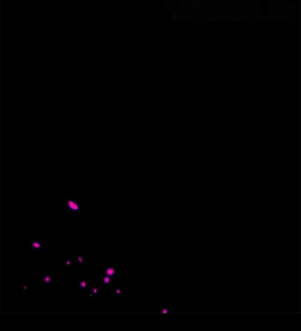 Strength Through Adversity, My Cultivation Knows No Limits Chapter 13 - Page 19