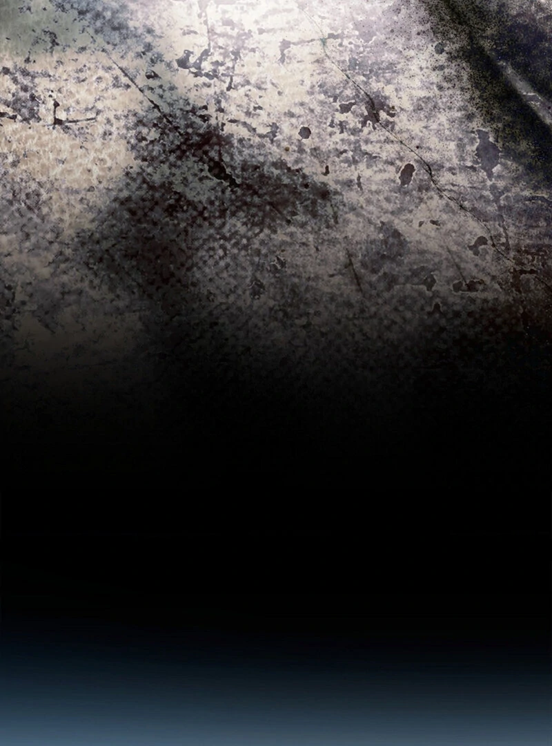 The Young Wife Chapter 48 - Page 96