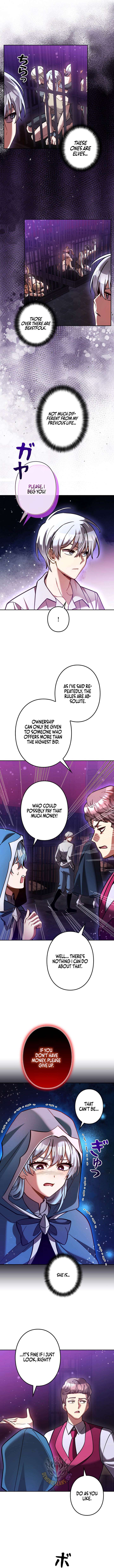 I’m a Hero, but the Heroines are Trying to Kill Me Chapter 48 - Page 6