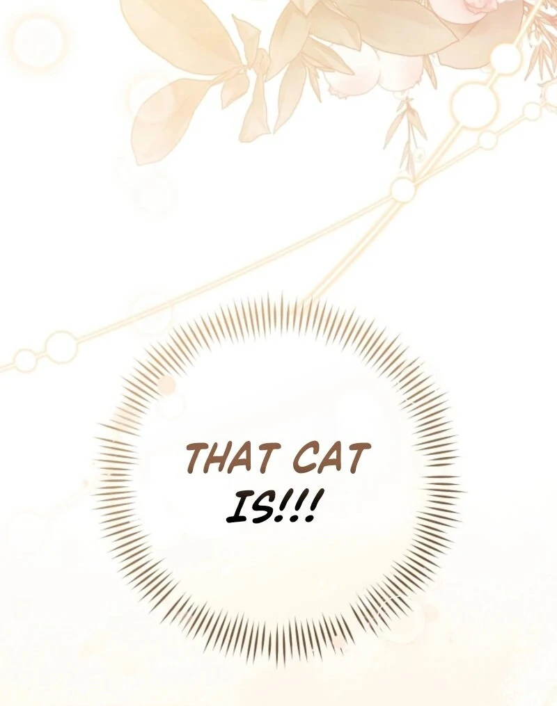 My Dream is to Get My Own House Chapter 37 - Page 137