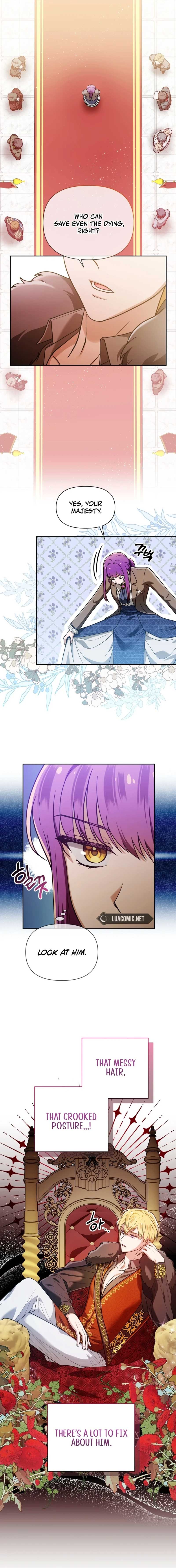 I’m the Dying Emperor’s Doctor Chapter 1 - Page 13